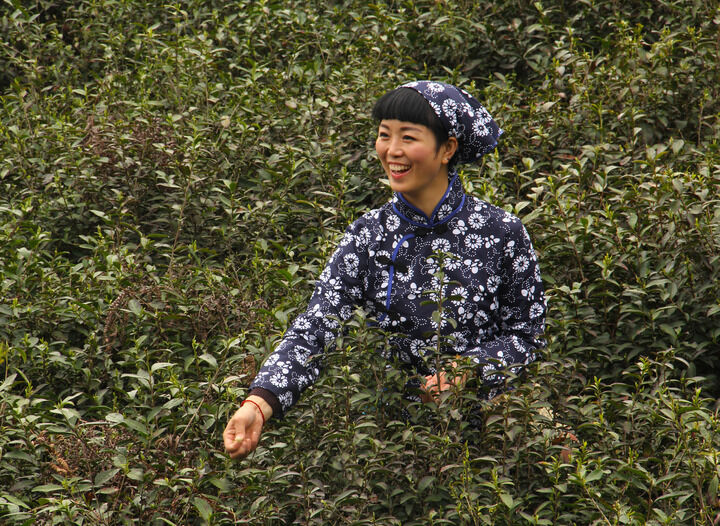 成人视频 热门1